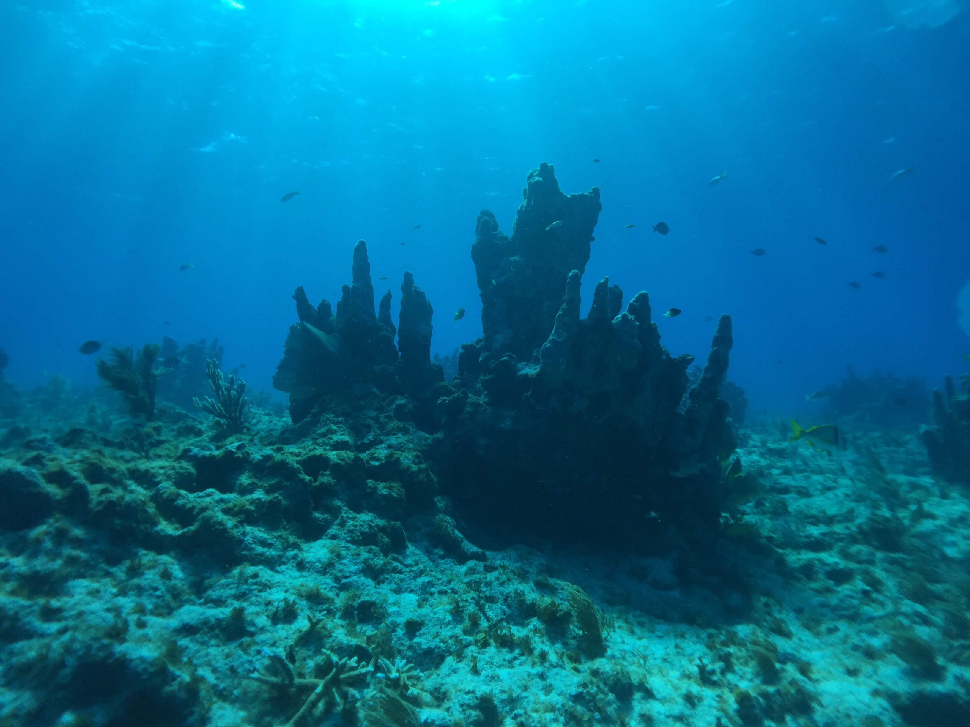 水下勘探